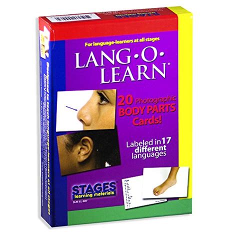 Buy Stages Learning Materials Lang-O-Learn ESL Body Parts Vocabulary ...