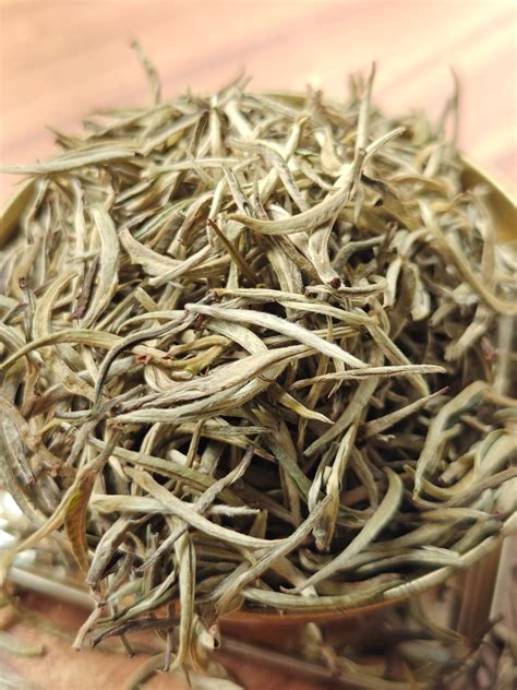 Absolute Signature Silver Needles White Tea - Buy White Tea Online ...