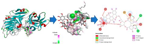 Production of a Fungal Punicalagin-Degrading Enzyme by Solid-State ...