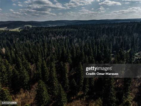 Image result for Logging Process