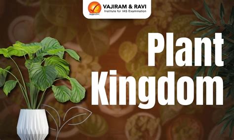 Plant Kingdom, Classification, Characteristics, Examples