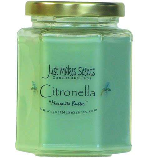 How To Get Rid of Mosquitoes | Citronella mosquito, Mosquito candle ...