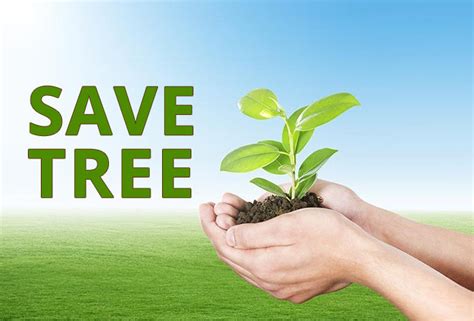 Plant for Planet: CSR Tree Plantation in India – Amulya Mica