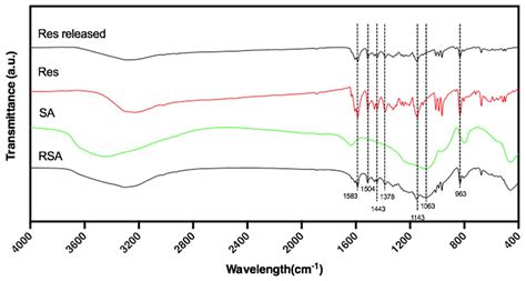 Preparation, Characterization, and In Vitro Sustained Release Profile ...