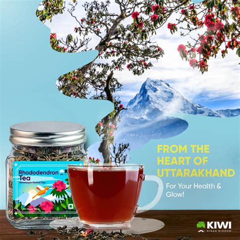 Himalayan Rhododendron Herbal Tea – KIWI Kisan Window