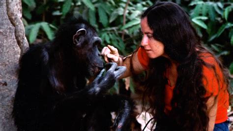 Chimpanzee Movie Trailer