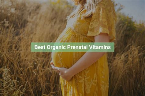 10 Best Organic Prenatal Vitamins — Loyal Organic