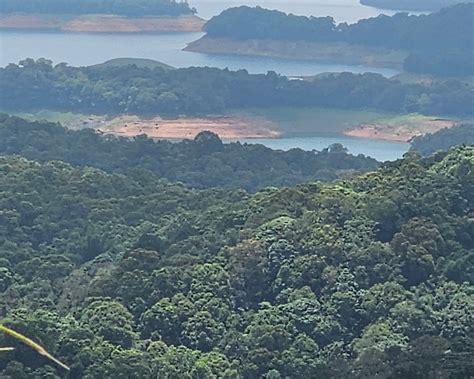 THE 10 BEST Places to Visit in Vagamon (UPDATED 2024)