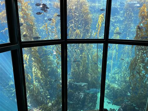 Provo Beach Resort - Utah's Adventure Family