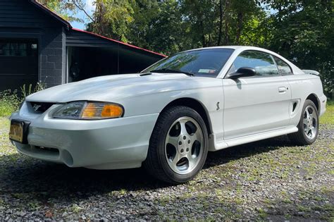 1996 Mustang Ford Mustang SVT Cobra Wikipedia