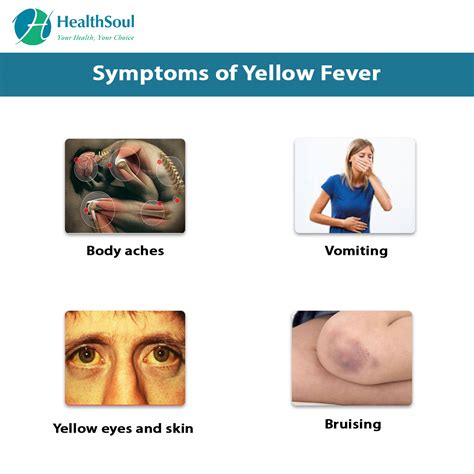Yellow Fever