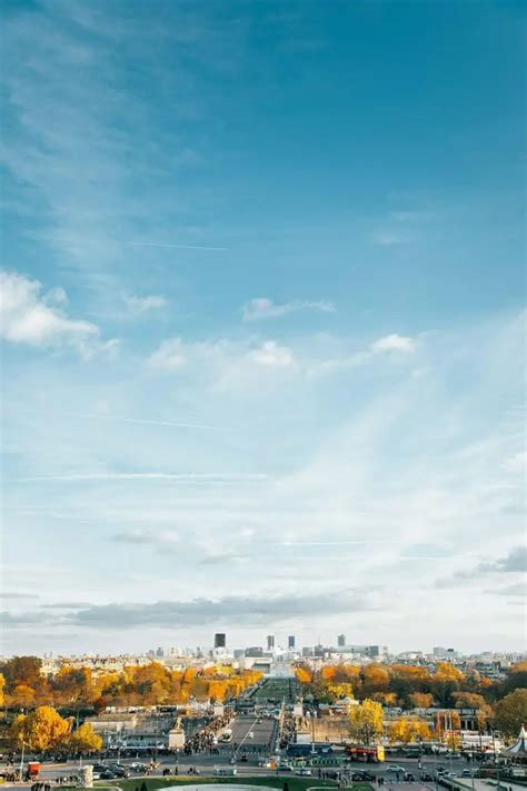 Remove Content 的图像结果