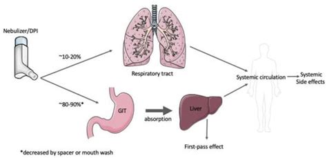 Successes and Challenges: Inhaled Treatment Approaches Using Magnetic ...