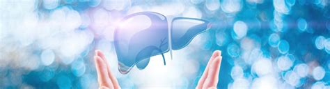 How To Know If Your Liver Is Healthy: Signs & Guide | Dr. Vaidya's – Dr ...