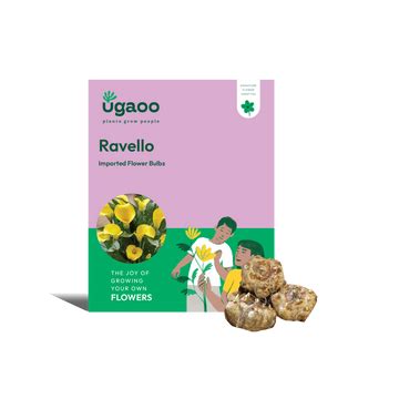 Buy Premium Flower Bulbs Online In India | Best plant bulbs – Ugaoo