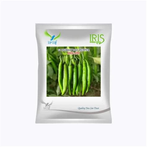 Iris Hybrid F1 Hot Pepper IHS-690 – High Yield, Disease Resistant ...