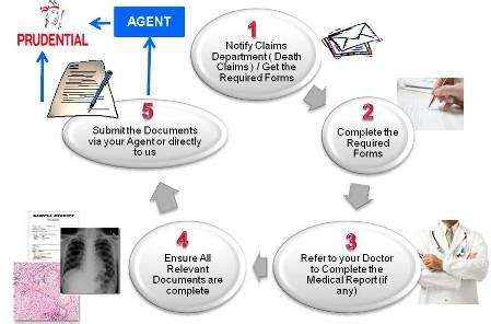 Image result for Insuranceclaimguy Free Guide