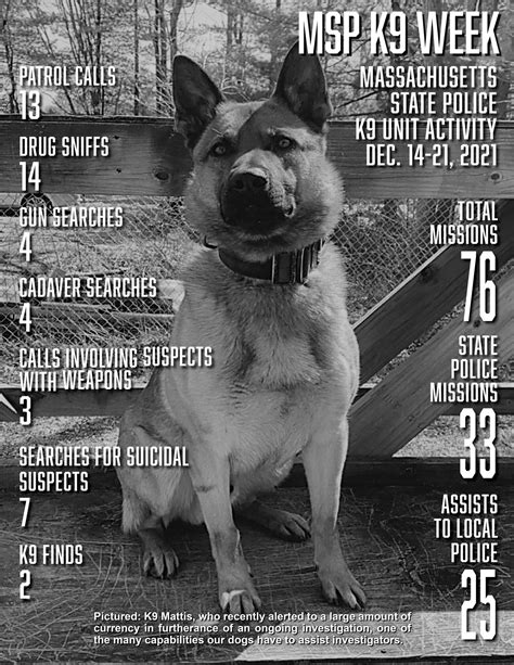 Massachusetts State Police K9 December 14-21, 2021 | Mass.gov
