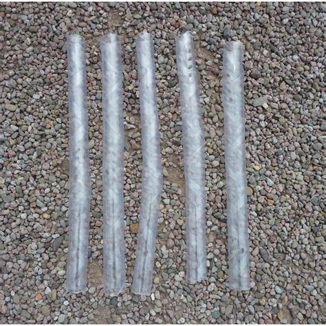 Image result for Squirrel Tree Guard