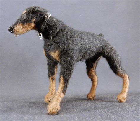 Doberman Cross Poodle
