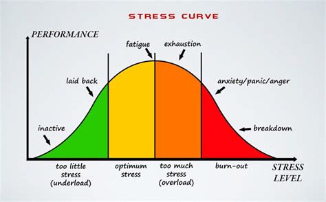Stress - the spectrum — Dr. Nicole Bruno