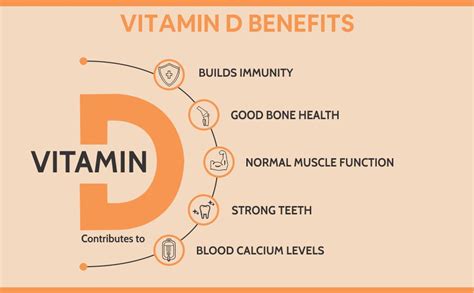 Carbamide Forte Vitamin D3 K2 MK7 | Plant Based Veg Vitamin D3 ...
