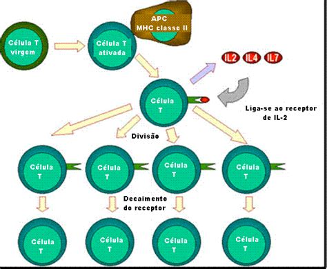 Image result for CodeHS Fundamentals of Computing 5 Overview Answer Key