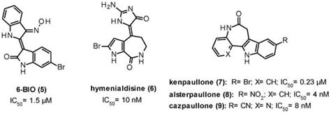 GSK-3β, FYN, and DYRK1A: Master Regulators in Neurodegenerative Pathways