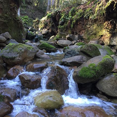 UVAS CANYON COUNTY PARK (Morgan Hill): All You Need to Know