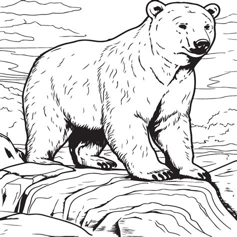 Coloring Pages Of Grizzly Bears