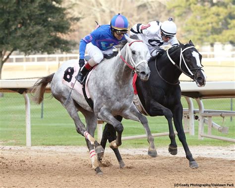 Pruett ‘more optimistic’ about his second Smarty Jones winner, Gray ...