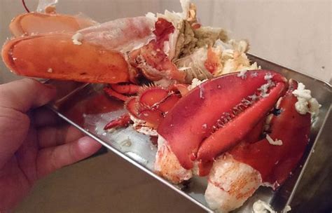 EBI TO BASASHI TO NIHONSHU NO IZAKAYA, Toshima - Ikebukuro - Menu ...