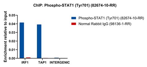 Phospho-STAT1 (Tyr701) antibody (82674-10-RR) | Proteintech