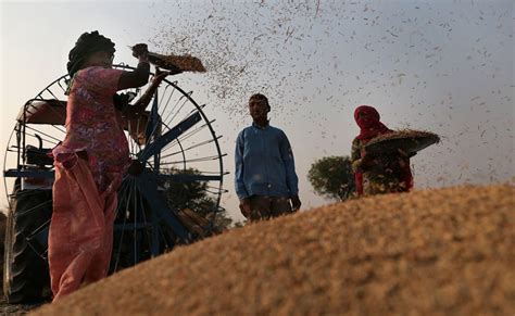 2021-22 के खरीफ सीजन की फसलों का एमएसपी घोषित, 1940 में बिकेगा धान