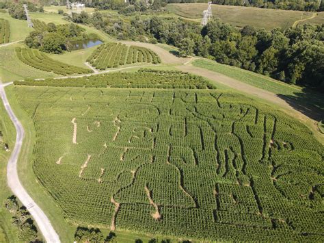 Corn Maze and Apple Cannons - Highland Orchards