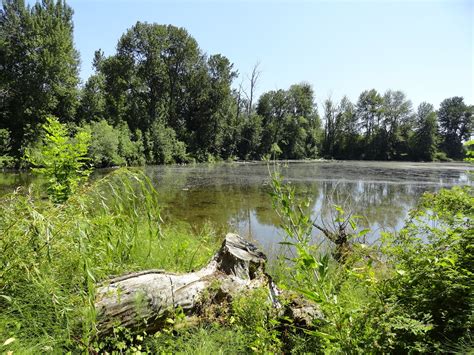 danger garden: Whitaker Ponds Nature Park