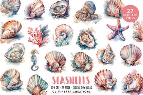 Clip Art Seashells