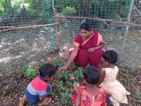 How environmental awareness for preschoolers can create a lifelong ...