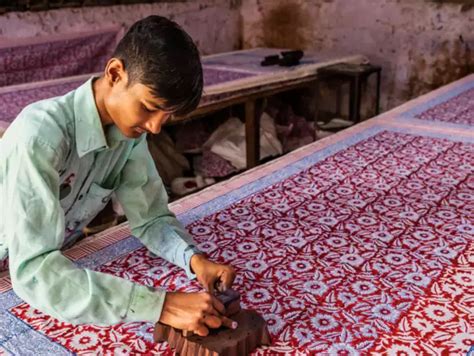 From Bagru to Bagh: Exotic textile prints of India | The Times of India