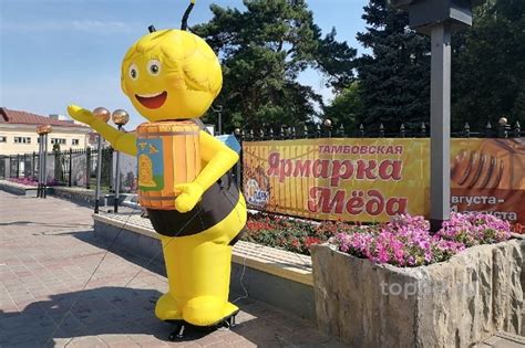 В Тамбове открылась традиционная ярмарка мёда: как выбрать качественный ...