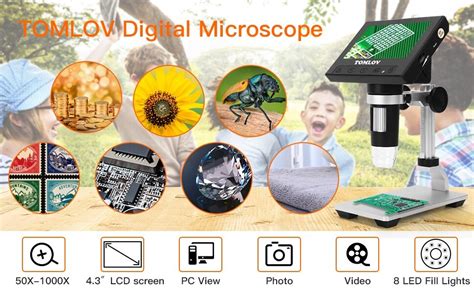 Microscope 1000X Magnification 的图像结果