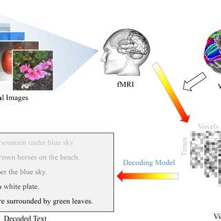 Image result for Decoding Machine Language