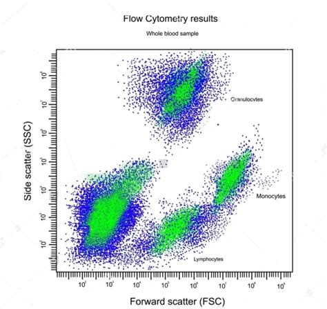 Flow Cytometry Explained 的图像结果