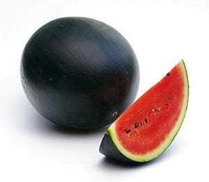 TRICONE HAPPY FAMILY, Hybrid F1 ( Ice Box ), Watermelon Seed 800SD DD45 ...