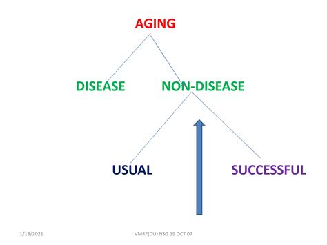 Aging 的图像结果
