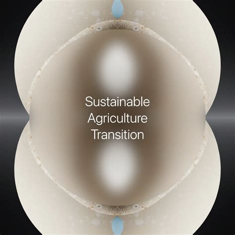 Sustainable Agriculture 的图像结果