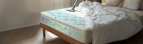 Dust Mites in Mattresses: Causes, Risks, and Removal Tips – Kurlon