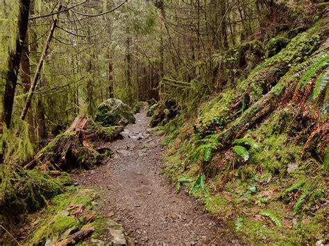 Lime Kiln Trail, Washington, USA : r/hiking