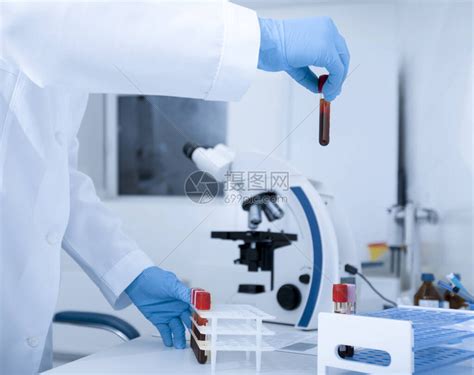 在化验室设备测试中选择血液检验管进行血高清图片下载-正版图片506297147-摄图网