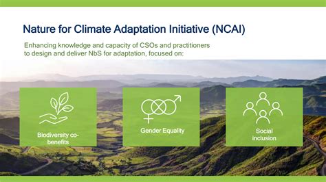 Enhancing biodiversity co-benefits from NbS implementation | PPTX